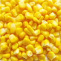 Frozen Sweet Corn Kernel IQF Sweet Corn